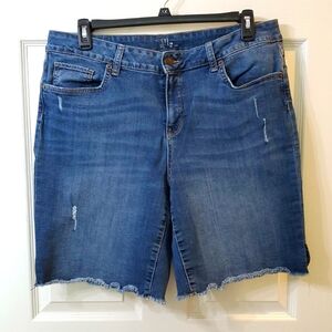 Time N Tru Denim Blue Women's Shorts Size 18